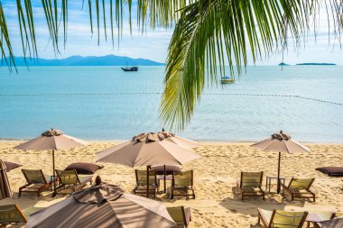 Hindistan cevizi palmiye ağacı ile güzel tropikal plaj deniz ve okyanus bir