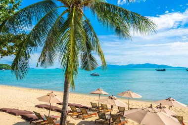 Hindistan cevizi palmiye ağacı ile güzel tropikal plaj deniz ve okyanus bir