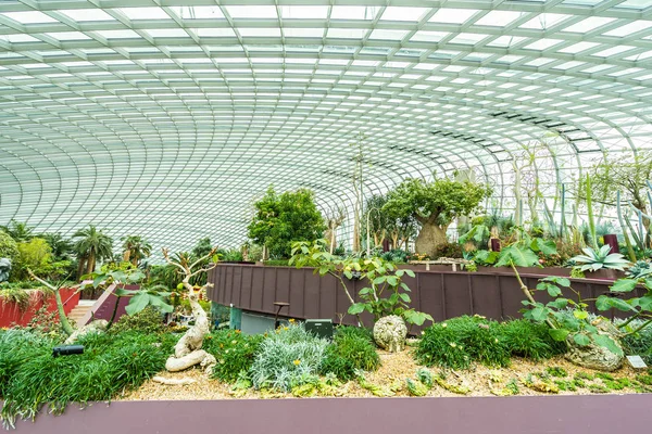 Bela arquitetura edifício flor jardim cúpula e greenhous — Fotografia de Stock