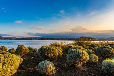 Dağ fuji ile akçaağaç yaprağı ağacın etrafında güzel manzara