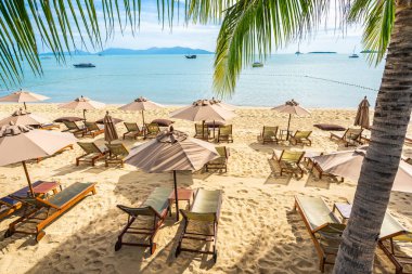 Hindistan cevizi palmiye ağacı ile güzel tropikal plaj deniz ve okyanus bir