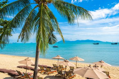 Hindistan cevizi palmiye ağacı ile güzel tropikal plaj deniz ve okyanus bir