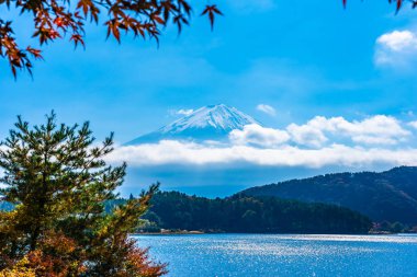 Dağ fuji ile akçaağaç yaprağı ağacın etrafında güzel manzara