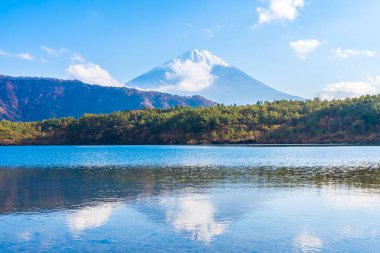 Dağ fuji ile akçaağaç yaprağı ağacın etrafında güzel manzara