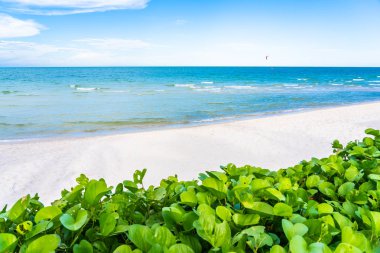 Deniz Okyanusu ve bea güzel açık tropikal doğa manzara