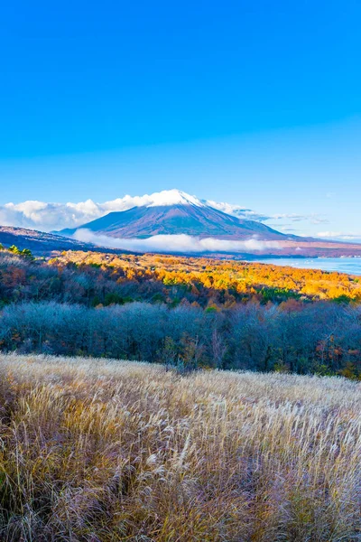 山中湖や山中湖で美しい富士の山 — ストック写真