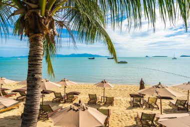 Hindistan cevizi palmiye ağacı ile güzel tropikal plaj deniz ve okyanus bir