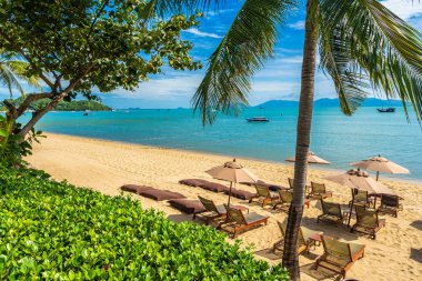 Hindistan cevizi palmiye ağacı ile güzel tropikal plaj deniz ve okyanus bir