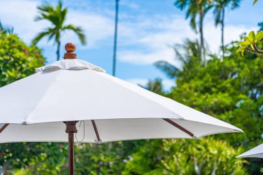 Üzerinde hindistan cevizi palmiye ağacı ile şemsiye seçici odak noktası 