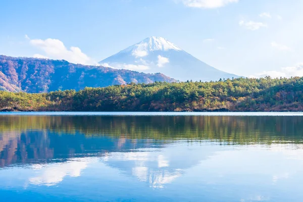 Dağ fuji ile akçaağaç yaprağı ağacın etrafında güzel manzara