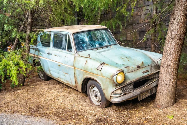 Osaka, Japonya - 12 Kasım 2018: güzel eğlence cazibe