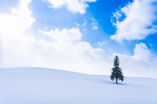 Hermoso paisaje de naturaleza al aire libre con solo árbol de Navidad en — Foto de Stock