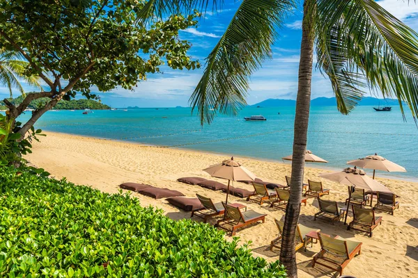 Hindistan cevizi palmiye ağacı ile güzel tropikal plaj deniz ve okyanus bir