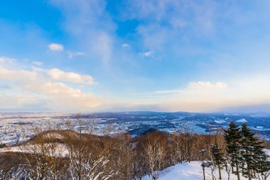 Dağın etrafından kar kış deniz ağacında ile güzel manzara
