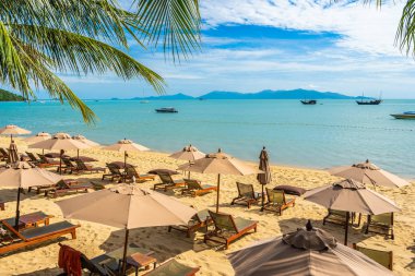 Hindistan cevizi palmiye ağacı ile güzel tropikal plaj deniz ve okyanus bir