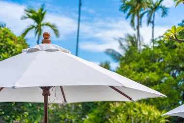 Üzerinde hindistan cevizi palmiye ağacı ile şemsiye seçici odak noktası 