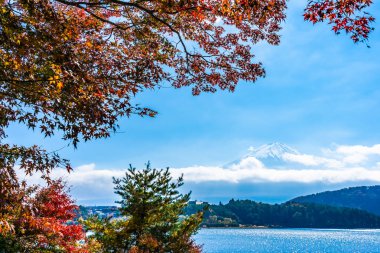 Dağ fuji ile akçaağaç yaprağı ağacın etrafında güzel manzara