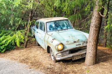 Osaka, Japonya - 12 Kasım 2018: güzel eğlence cazibe