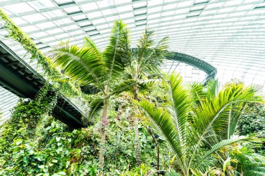 Çiçek kubbe Bahçesi ve greenhous bina güzel mimari