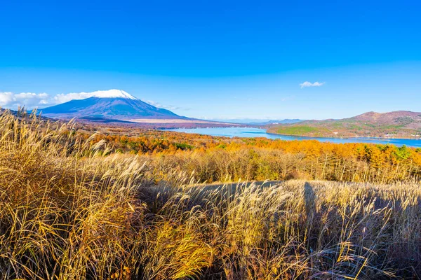 Bela montanha fuji em yamanakako ou lago yamanaka — Fotografia de Stock