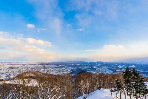 Dağın etrafından kar kış deniz ağacında ile güzel manzara
