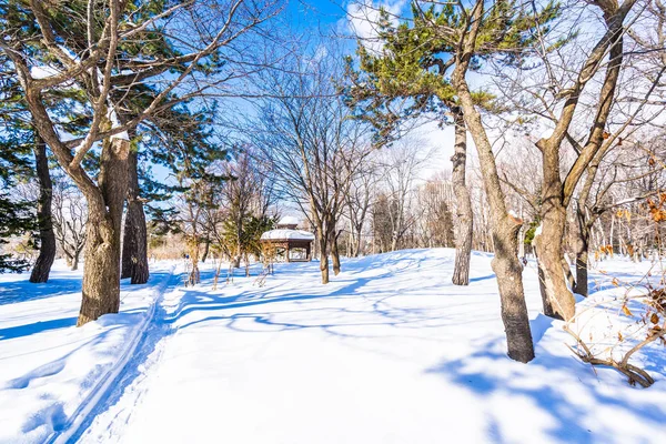 Kar kış sezonu ağacında ile güzel manzara