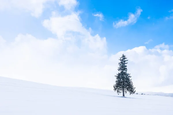 Όμορφο υπαίθριο τοπίο με μόνη χριστουγεννιάτικα δέντρα σε — Φωτογραφία Αρχείου