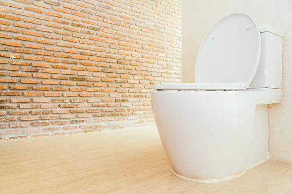Branco vaso sanitário e assento — Fotografia de Stock