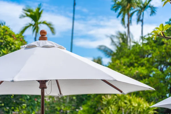 Üzerinde hindistan cevizi palmiye ağacı ile şemsiye seçici odak noktası 