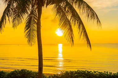 COC ile deniz Okyanusu plajının güzel açık tropikal manzara