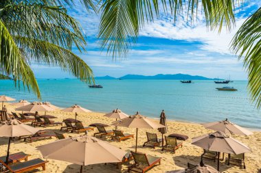 Hindistan cevizi palmiye ağacı ile güzel tropikal plaj deniz ve okyanus bir