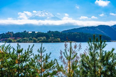 Dağ fuji ile akçaağaç yaprağı ağacın etrafında güzel manzara