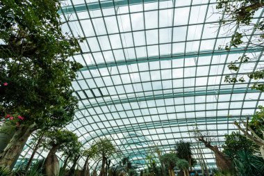 Çiçek kubbe Bahçesi ve greenhous bina güzel mimari