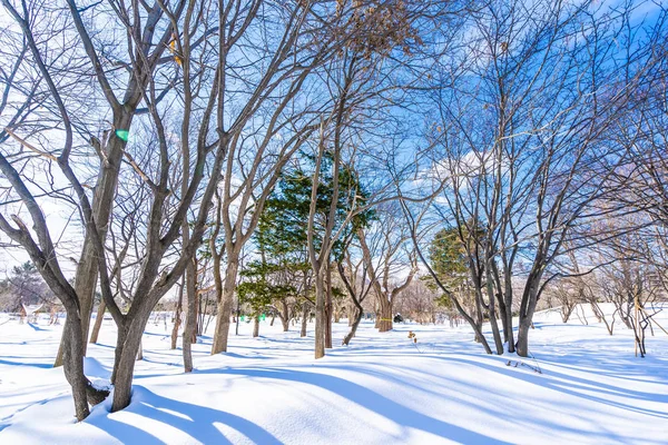 Kar kış sezonu ağacında ile güzel manzara