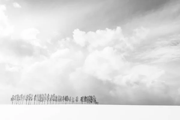 Bela paisagem natural ao ar livre com grupo de árvore ramo em — Fotografia de Stock