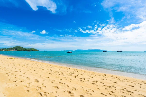 Hindistan cevizi palmiye ağacı ile güzel tropikal plaj deniz ve okyanus bir