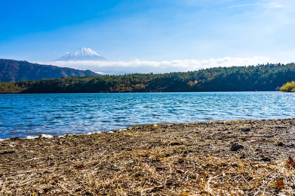 Vackert landskap av berg fuji med lönn blad runt — Stockfoto