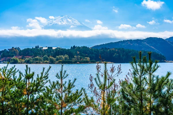 Dağ fuji ile akçaağaç yaprağı ağacın etrafında güzel manzara