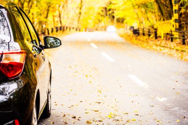 Sonbahar ormandaki yolda araba