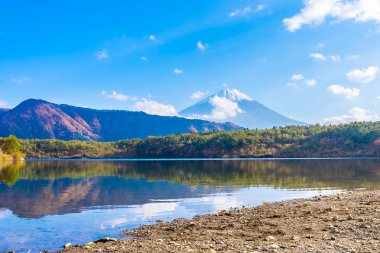 Dağ fuji ile akçaağaç yaprağı ağacın etrafında güzel manzara