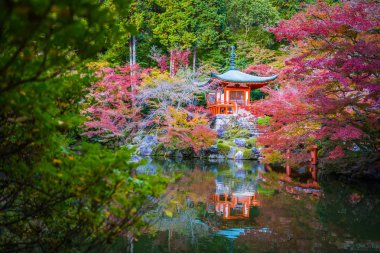 Güzel Daigoji Tapınağı ile renkli ağaç ve yaprak sonbahar s