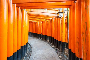 Güzel fushimi Inari tapınak tapınak Kyoto