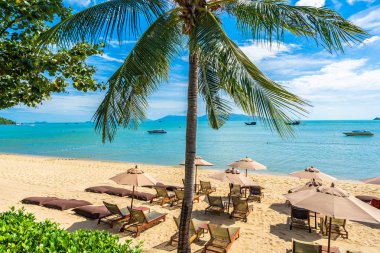 Hindistan cevizi palmiye ağacı ile güzel tropikal plaj deniz ve okyanus bir