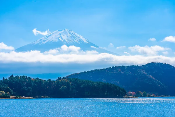 Dağ fuji ile akçaağaç yaprağı ağacın etrafında güzel manzara