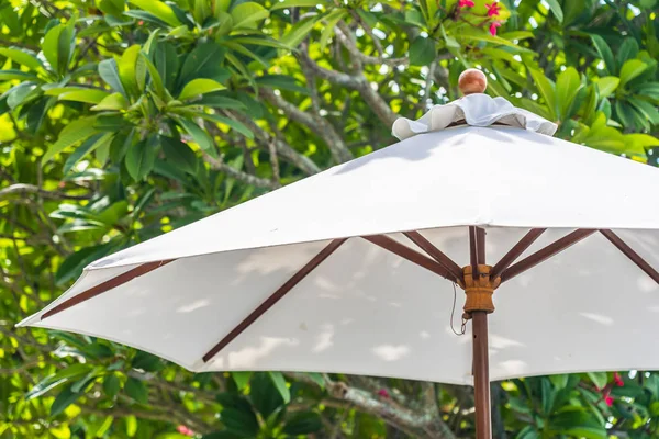 Üzerinde hindistan cevizi palmiye ağacı ile şemsiye seçici odak noktası 