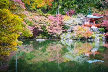 Güzel Daigoji Tapınağı ile renkli ağaç ve yaprak sonbahar s