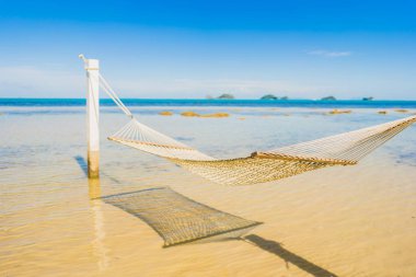 Holi için tropikal plaj deniz okyanusu etrafında güzel boş hamak