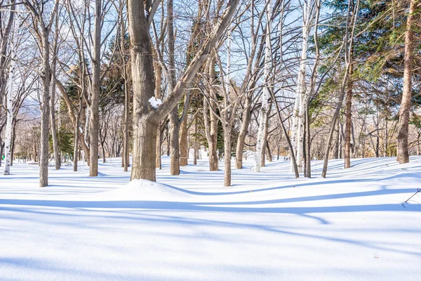 Beautiful landscape with tree in snow winter season — Stock Photo, Image