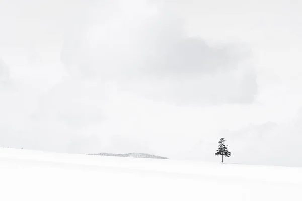 Vackra utomhus natur landskap med julgran i vinter — Stockfoto