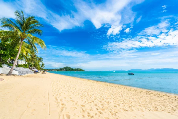 Hindistan cevizi palmiye ağacı ile güzel tropikal plaj deniz ve okyanus bir